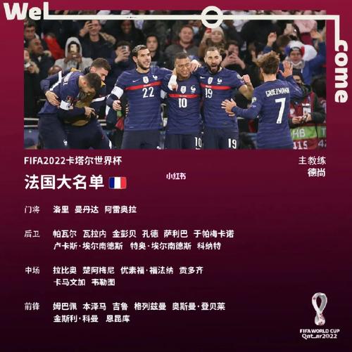 法国足球队世界杯名单