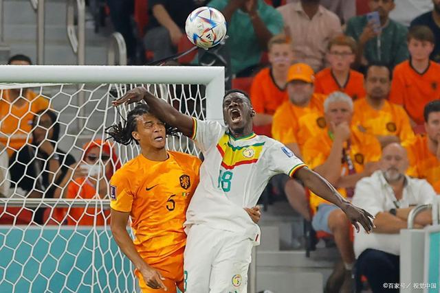 塞内加尔0-2荷兰的相关图片